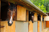 free Hundleby stable construction quotes